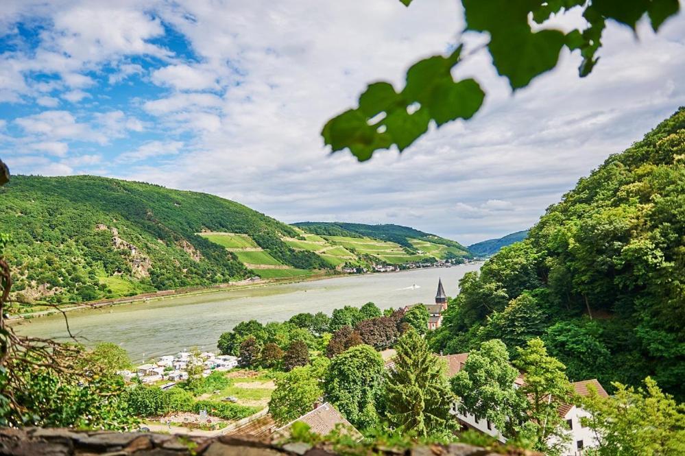 Trechtingshausen Winzerhof Ross & Rose酒店 外观 照片