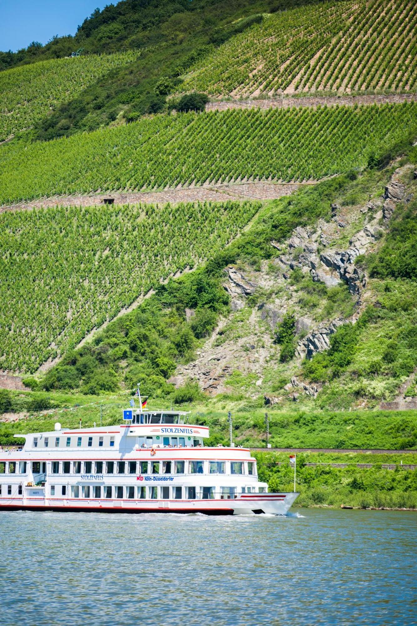 Trechtingshausen Winzerhof Ross & Rose酒店 外观 照片