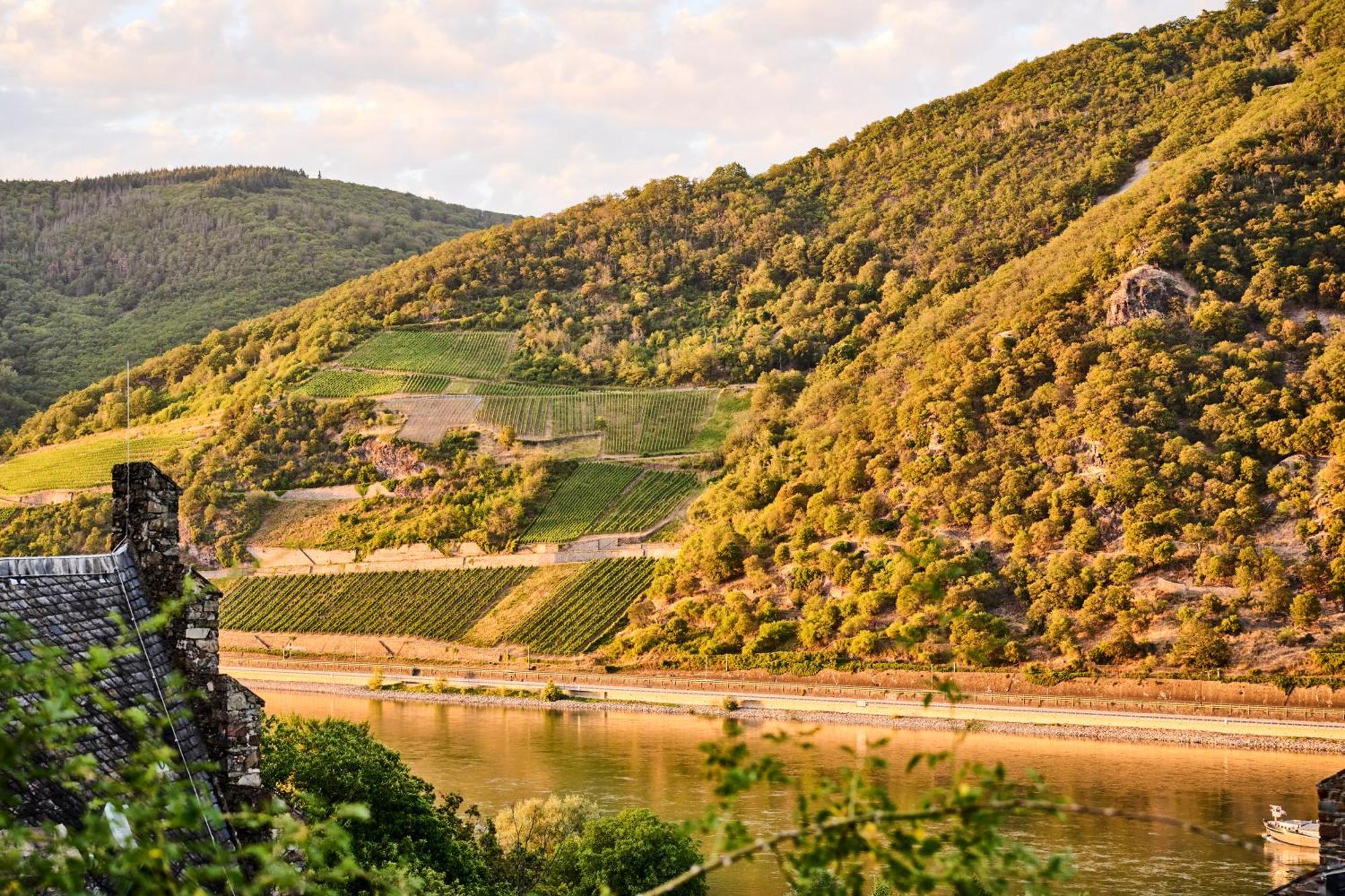 Trechtingshausen Winzerhof Ross & Rose酒店 外观 照片